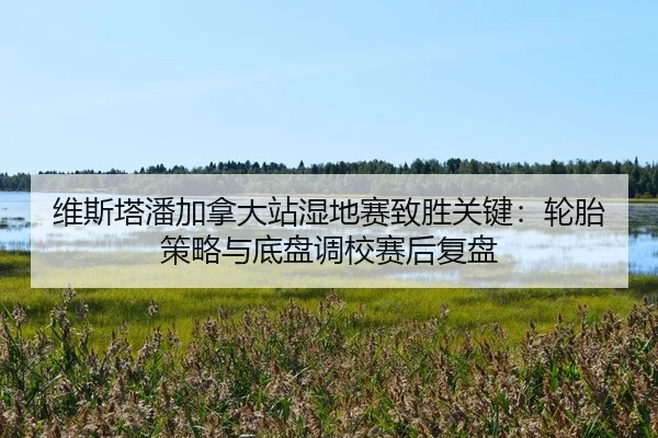 wei-si-ta-pan-jia-na-da-zhan-shi-di-sai-zhi-sheng-guan-jian-lun-tai-ce-lve-yu-di-pan-diao-xiao-sai-hou-fu-pan-2-596.jpg