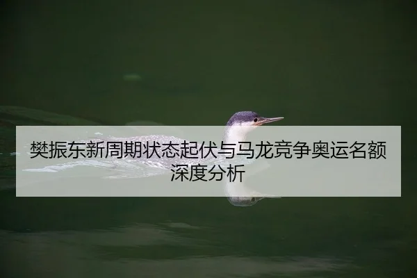 fan-zhen-dong-xin-zhou-qi-zhuang-tai-qi-fu-yu-ma-long-jing-zheng-ao-yun-ming-e-shen-du-fen-xi-2-171.jpg